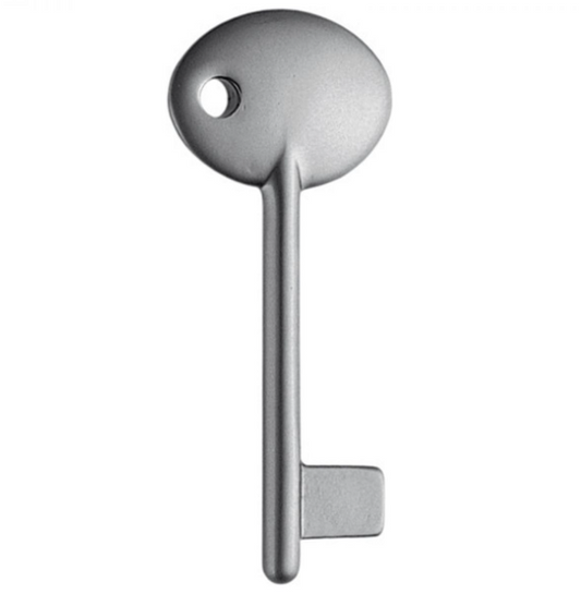 CHIAVE PATENT IN OTTONE COLOMBO DESIGN AM14