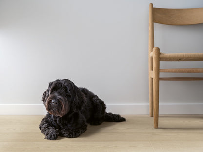 49,50/mq PAVIMENTO IN LAMINATO AC5 PERGO ARENDAL PRO ROVERE SABBIA DEL NORD L0239-04291