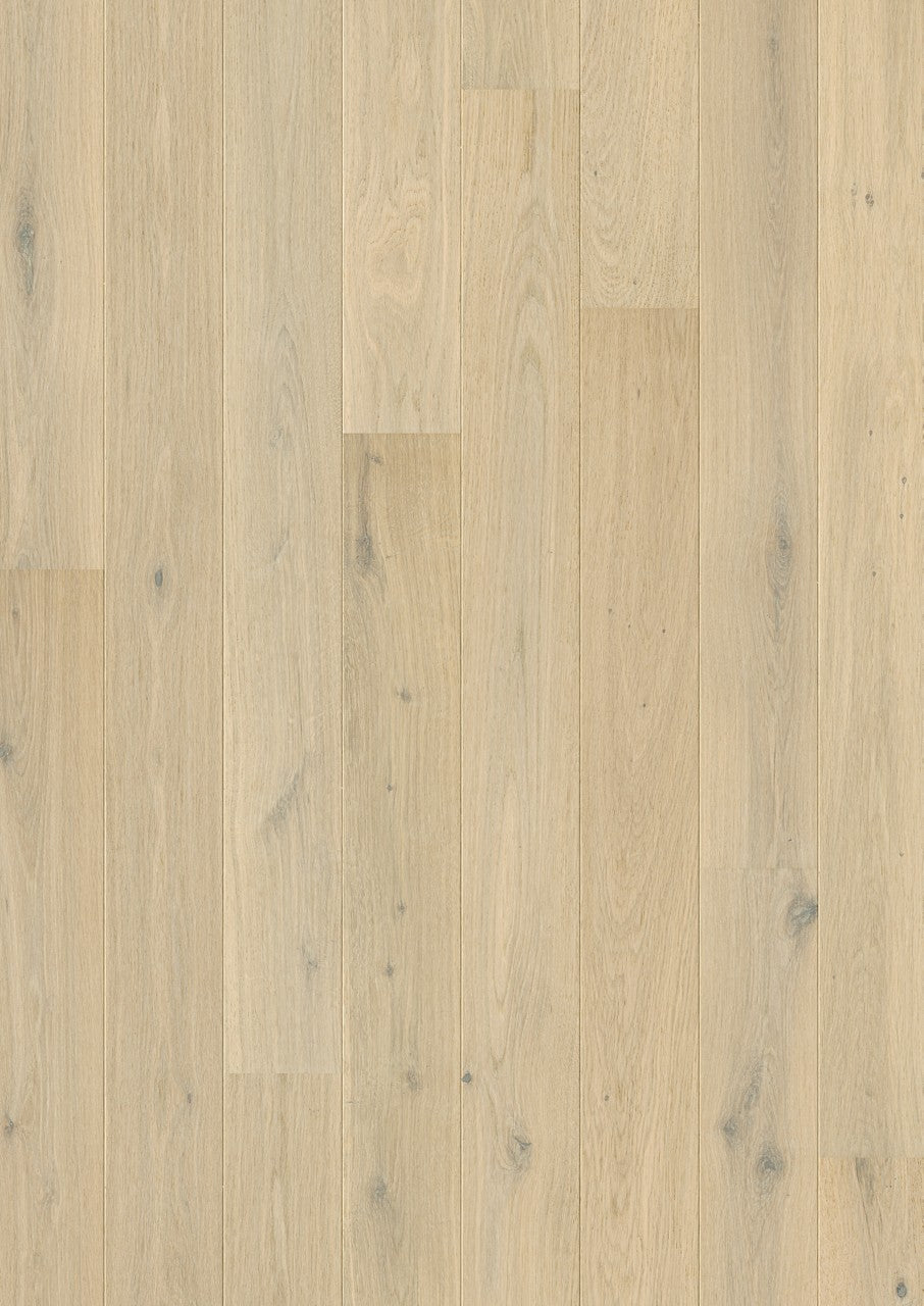 PARQUET PERGO WOOD FALSTER ROVERE LUCE DEL NORD 1820x145x13 mm