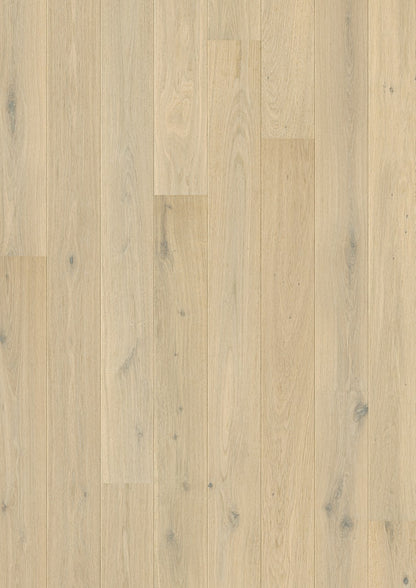 PARQUET PERGO WOOD FALSTER ROVERE LUCE DEL NORD 1820x145x13 mm