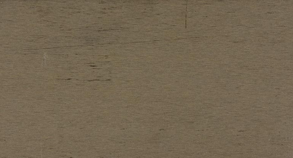 €79,90/mq BGP DECKING AQUAWOOD WPC PIENO TERRA WPCA003