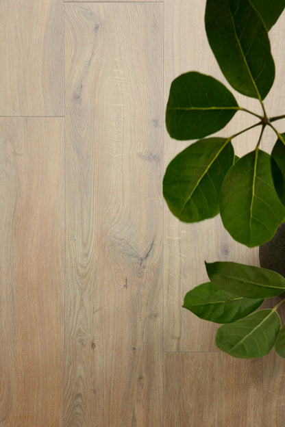 €34,90/mq PAVIMENTO IN LAMINATO BERRY ALLOC OCEAN 8 XL GYANT WARM NATURAL