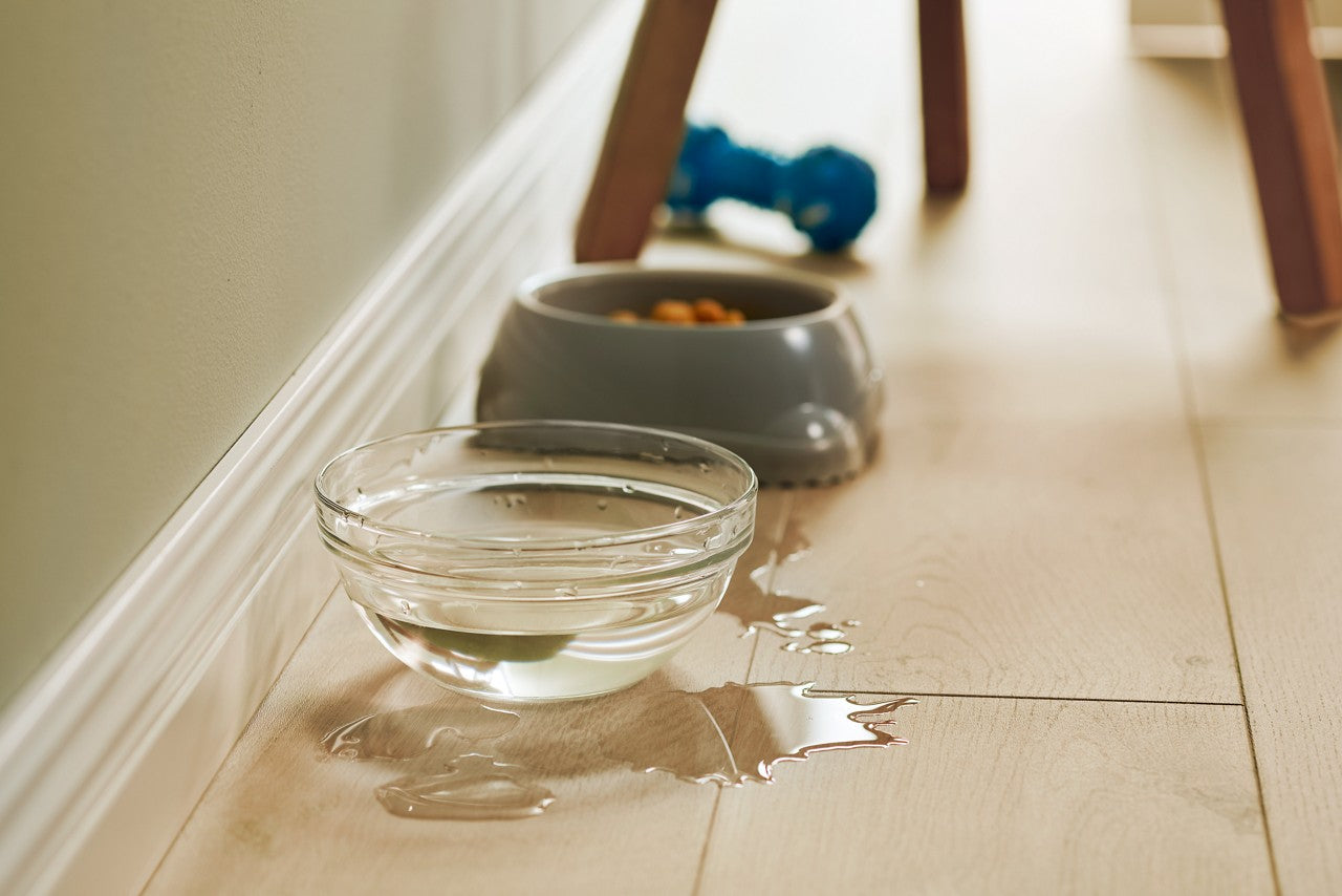 PAVIMENTO IN LAMINATO AC5 PERGO VISBY PRO ROVERE DELLA COSTA L0271-03374